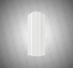 Евро штакетник П-образный, Style, 120мм, полиэстер двухсторонний RAL 9003 Белый, ф