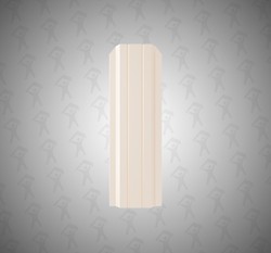 Евро штакетник П-образный, Persona, 100мм, полиэстер двухсторонний RAL 1015 Светлая слоновая кость